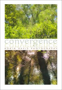 Convergence Poster by Robin Davis