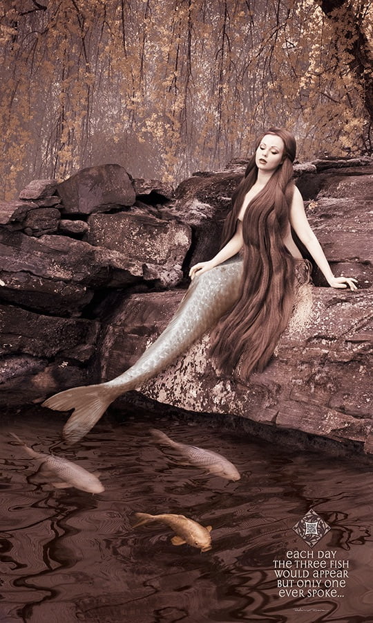 Mermaid by Robin Davis